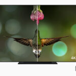 new_appletv_hummingbird_4K_HDR_comparison_inline.jpg.large